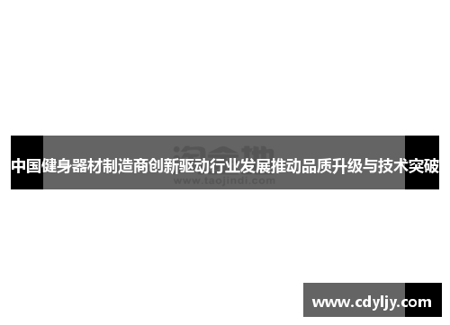 中国健身器材制造商创新驱动行业发展推动品质升级与技术突破