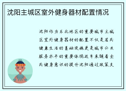 沈阳主城区室外健身器材配置情况